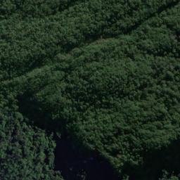 Satellite imagery of Dog Point, NZ
