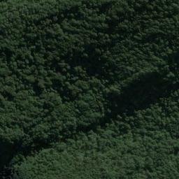 Satellite imagery of Dog Point, NZ