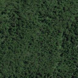 Satellite imagery of Walker Point, NZ