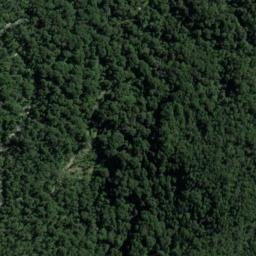 Satellite imagery of Walker Point, NZ