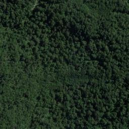 Satellite imagery of Walker Point, NZ