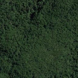 Satellite imagery of Walker Point, NZ