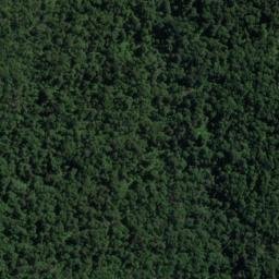 Satellite imagery of Walker Point, NZ