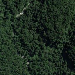 Satellite imagery of Walker Point, NZ