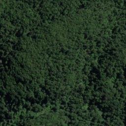 Satellite imagery of Walker Point, NZ