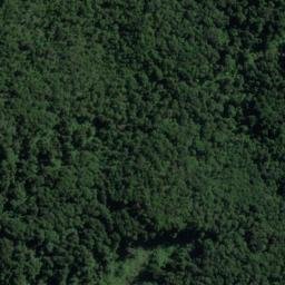 Satellite imagery of Walker Point, NZ