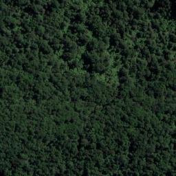Satellite imagery of Boat Rock, NZ