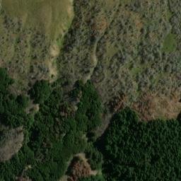 Satellite imagery of Picnic Point, NZ