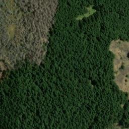 Satellite imagery of Picnic Point, NZ