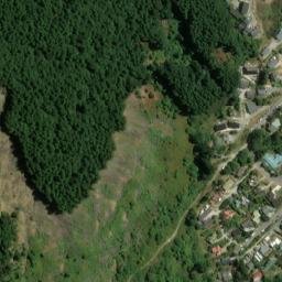 Satellite imagery of Picnic Point, NZ