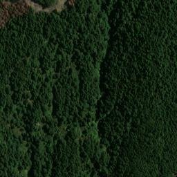 Satellite imagery of Picnic Point, NZ