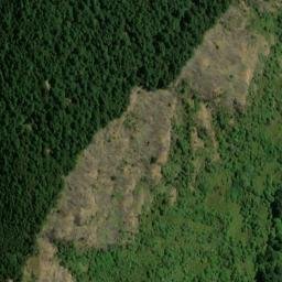 Satellite imagery of Picnic Point, NZ