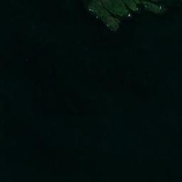 Satellite imagery of Punta Castillos, AR