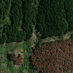 Satellite imagery of Picnic Point, NZ