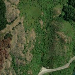 Satellite imagery of Picnic Point, NZ