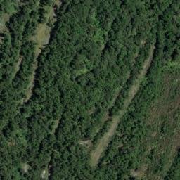 Satellite imagery of Caroline Point, NZ