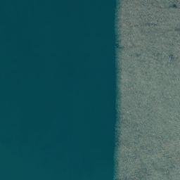 Satellite imagery of Picnic Point, NZ