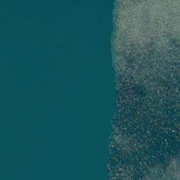 Satellite imagery of Picnic Point, NZ