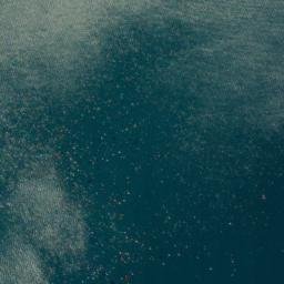 Satellite imagery of Picnic Point, NZ