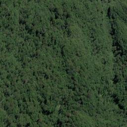 Satellite imagery of Friendship Head, NZ