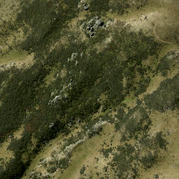Satellite imagery of Lilico Spur, NZ