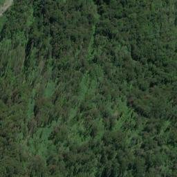 Satellite imagery of Sweep Point, NZ