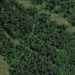 Satellite imagery of Bend Point, NZ