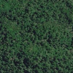 Satellite imagery of Punta Alberto, CL