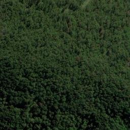 Satellite imagery of Sharp Head, NZ