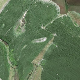 Satellite imagery of Lookout Bluff, NZ