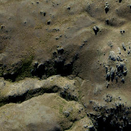 Satellite imagery of Prophets Rock, NZ