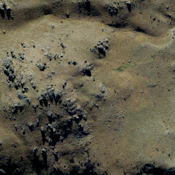 Satellite imagery of Prophets Rock, NZ
