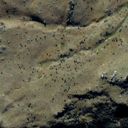 Satellite imagery of Prophets Rock, NZ