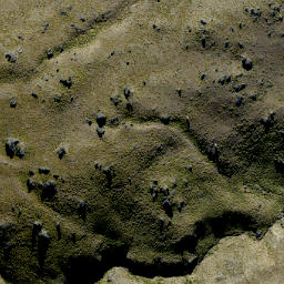 Satellite imagery of Prophets Rock, NZ