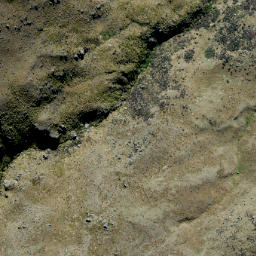Satellite imagery of Prophets Rock, NZ
