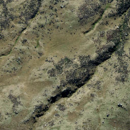 Satellite imagery of Prophets Rock, NZ
