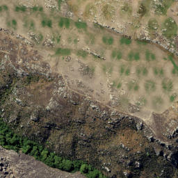 Satellite imagery of Butchers Point, NZ