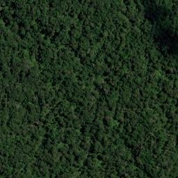 Satellite imagery of Glyn Point, NZ