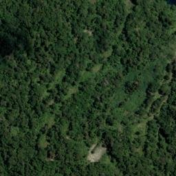 Satellite imagery of Glyn Point, NZ