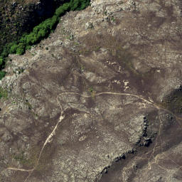 Satellite imagery of Butchers Point, NZ