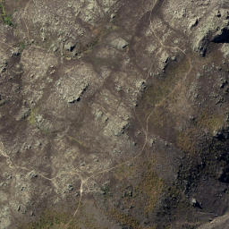 Satellite imagery of Butchers Point, NZ