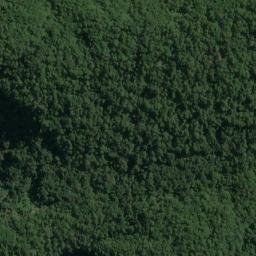Satellite imagery of Evans Head, NZ