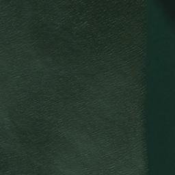 Satellite imagery of Cavellia Head, NZ