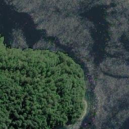 Satellite imagery of Punta Elisa, CL