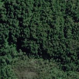 Satellite imagery of Punta Graciela, CL