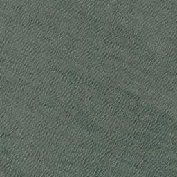 Satellite imagery of Common Head, NZ