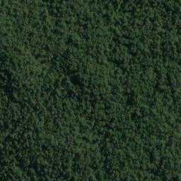 Satellite imagery of Pack Point, NZ