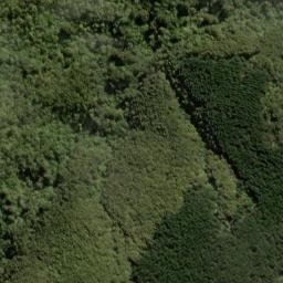 Satellite imagery of One Tree Ridge, NZ