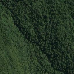 Satellite imagery of Pack Point, NZ