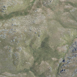 Satellite imagery of Rough Ridge, NZ